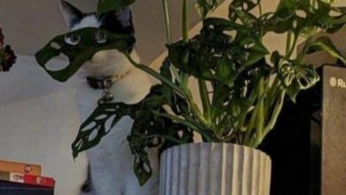 Минута отдыха Мем №1400952 Анекдоты 