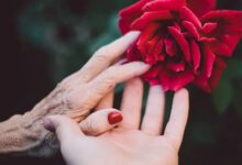 Минута отдыха Мечты о бессмертии: почему мы стареем и как это изменить Интересное 