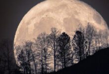 Минута отдыха 03.07.23 — Суперлуние судьбоносных решений: как провести время во благо Интересное 