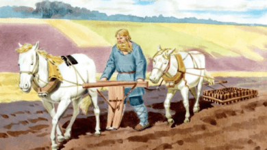 Минута отдыха «Мелкая сошка» и «большая шишка» - откуда произошли эти выражения? Интересное 