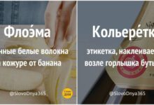 Минута отдыха Причудливые и полезные словечки, которые пополнять ваш словарный запас Интересное 