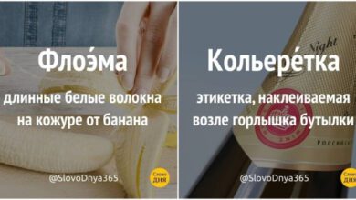 Минута отдыха Причудливые и полезные словечки, которые пополнять ваш словарный запас Интересное 