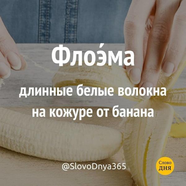 Минута отдыха Причудливые и полезные словечки, которые пополнять ваш словарный запас Интересное  