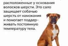 Минута отдыха Мем №1416014 Анекдоты 
