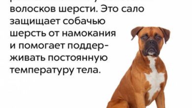 Минута отдыха Мем №1416014 Анекдоты  Минута отдыха Мем №1416014 Анекдоты