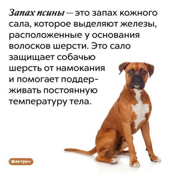 Минута отдыха Мем №1416014 Анекдоты  