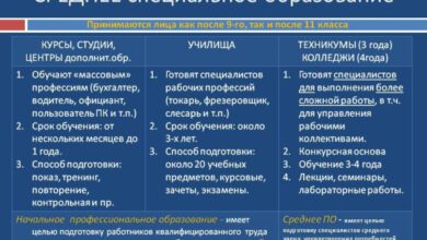 Минута отдыха Можно ли одновременно учиться в двух колледжах? Полезности  Минута отдыха Можно ли одновременно учиться в двух колледжах? Полезности