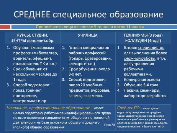 Можно ли одновременно учиться в двух колледжах?