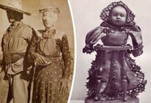 Минута отдыха 16 диковатых вещей, происходивших на протяжении истории Интересное 