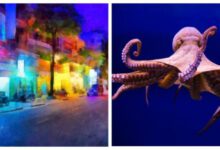 Минута отдыха 15 фактов обо всём на свете, которые расширят ваш кругозор Интересное 