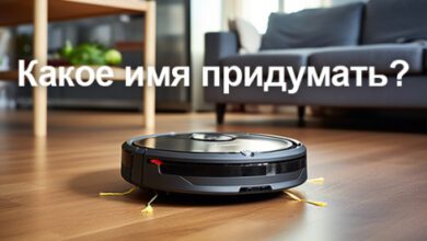 Минута отдыха Как назвать робот пылесос прикольно Полезности  Минута отдыха Как назвать робот пылесос прикольно Полезности