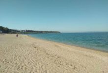 Минута отдыха Пляжи Севастополя закрыты – Эпидемия холера или фейковый вброс Интересное 