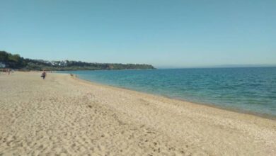 Минута отдыха Пляжи Севастополя закрыты – Эпидемия холера или фейковый вброс Интересное  Минута отдыха Пляжи Севастополя закрыты – Эпидемия холера или фейковый вброс Интересное