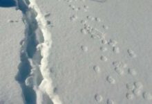 Минута отдыха Мем №1428426 Анекдоты 