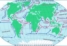 Минута отдыха Почему океанские течения постоянны? Интересное 