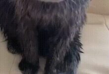 Минута отдыха Месть будет суровой Анекдоты 