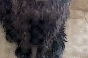 Минута отдыха Месть будет суровой Анекдоты 