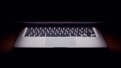 Минута отдыха Инфантильное поколение? Интересное Минута отдыха Инфантильное поколение? Интересное