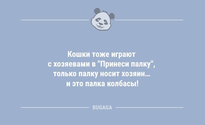 А спиритизмом, часом, не увлекаетесь? (7 фото)