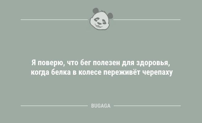 Если вы потерялись в лесу, не паникуйте… (6 фото)