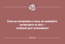 Минута отдыха Если вы потерялись в лесу, не паникуйте… (6 фото) Анекдоты 