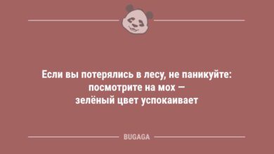 Минута отдыха Если вы потерялись в лесу, не паникуйте… (6 фото) Анекдоты  Минута отдыха Если вы потерялись в лесу, не паникуйте… (6 фото) Анекдоты