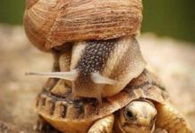 Минута отдыха Мем №1438117 Анекдоты 