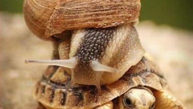 Минута отдыха Мем №1438117 Анекдоты 