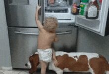 Минута отдыха Вот зачем в доме нужна собака Анекдоты 