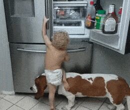 Минута отдыха Вот зачем в доме нужна собака Анекдоты 