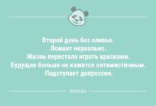 Минута отдыха Второй день без оливье… (9 фото) Анекдоты 