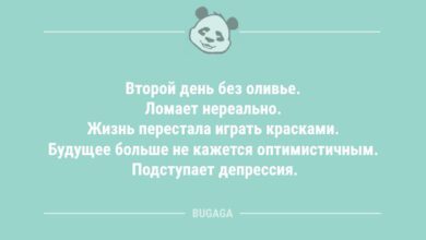 Минута отдыха Второй день без оливье… (9 фото) Анекдоты 