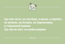 Минута отдыха Где спят коты… (7 фото) Анекдоты 