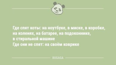 Минута отдыха Где спят коты… (7 фото) Анекдоты  Минута отдыха Где спят коты… (7 фото) Анекдоты