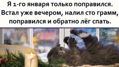 Минута отдыха Мем №1435345 Анекдоты 