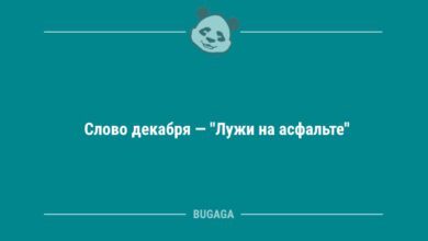 Минута отдыха Слово декабря (5 фото) Анекдоты 