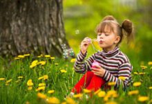 Минута отдыха Золотые правила воспитания в семье Дети 