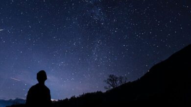 Минута отдыха Может ли звезда переместиться в другое созвездие? Интересное 