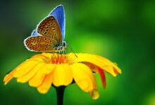 Минута отдыха Одна девочка Дети 