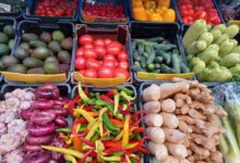 Минута отдыха Какие овощи можно давать собакам: питомцы будут бодрыми и энергичными Животные 