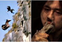 Минута отдыха 10 случаев, когда на съёмках фильмов пострадали животные Интересное 