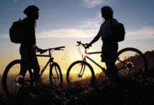 Минута отдыха Велотуризм с удобством Интересное 