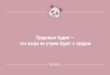 Минута отдыха Трудовые будни (6 фото) Анекдоты 