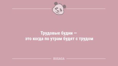 Минута отдыха Трудовые будни (6 фото) Анекдоты 