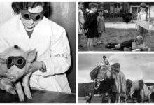 Минута отдыха 30 редких и интересных исторических снимков Интересное 