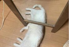 Минута отдыха Мем №1445067 Анекдоты 