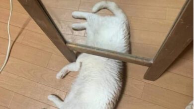 Минута отдыха Мем №1445067 Анекдоты 