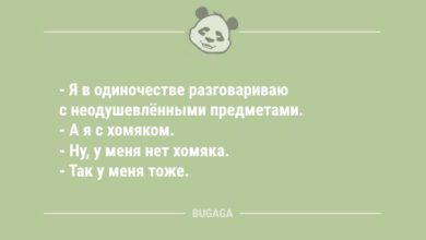Минута отдыха Я в одиночестве разговариваю с неодушевлёнными предметами… (7 фото) Анекдоты 