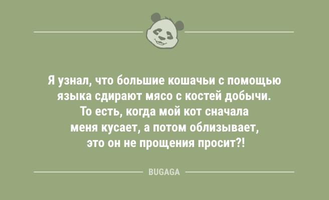 Я в одиночестве разговариваю с неодушевлёнными предметами… (7 фото)