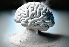 Минута отдыха Откуда пошло выражение «пудрить мозги»? Интересное 